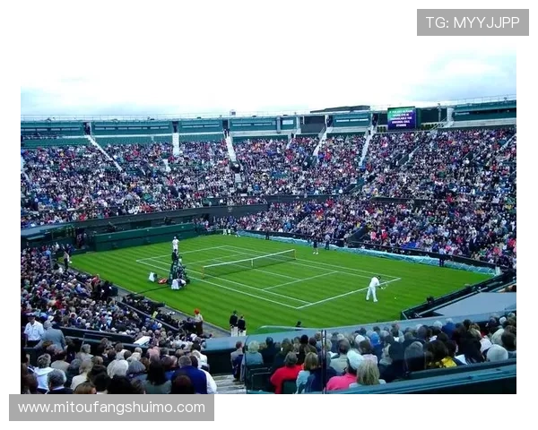 网球赛季大冲刺：世界排名变动引发关注 新星崭露头角