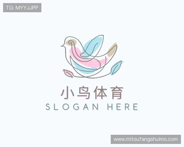 关于小鸟体育